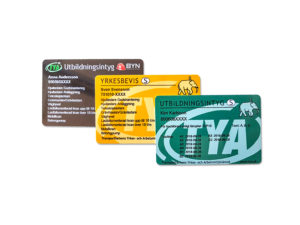 Truck Maskinhjalpen Tya